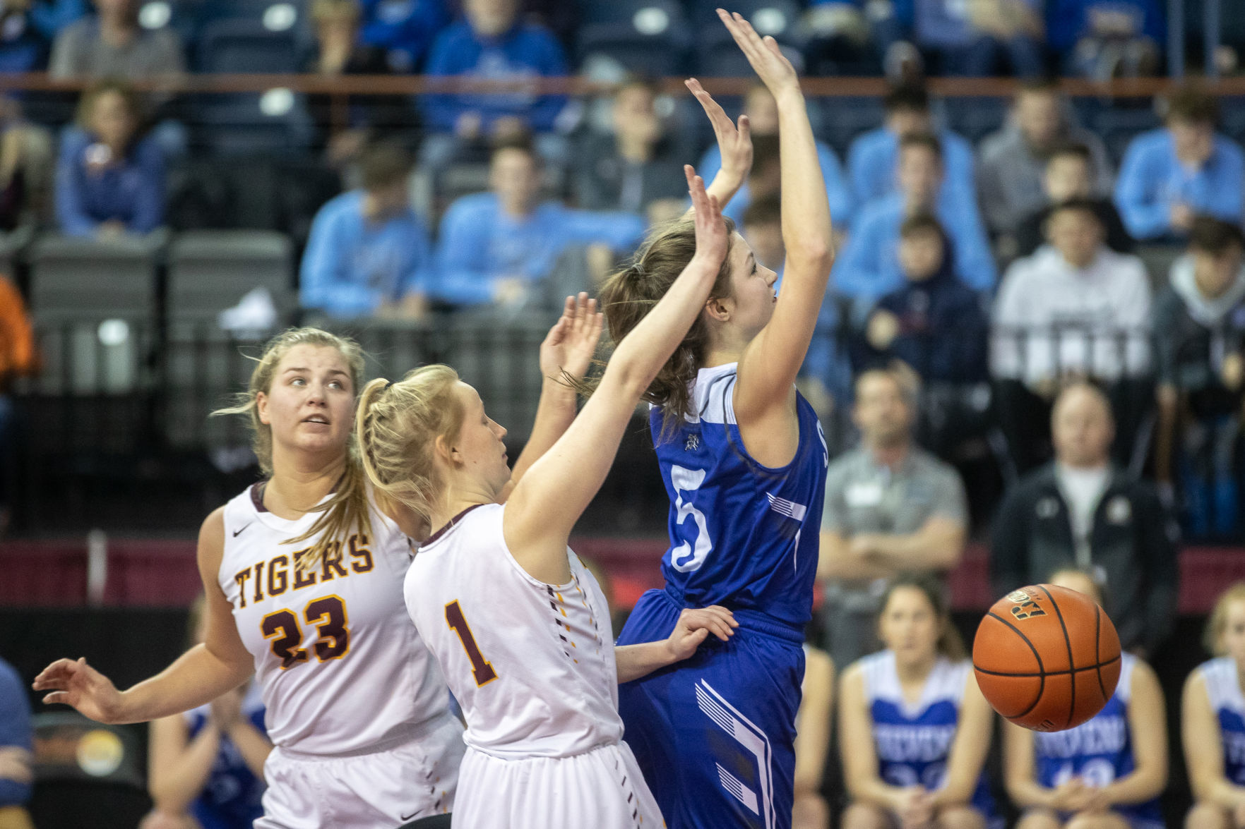 State basketball